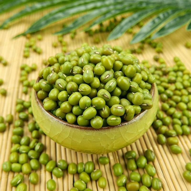 Chinese-Green-mung-bean-Mung-Beans-Mung[1]